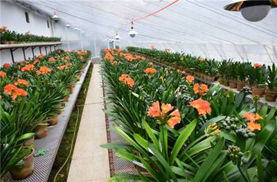 吉林省長(zhǎng)春市:全國推進(jìn)農(nóng)業(yè)現(xiàn)代化優(yōu)秀城市案例