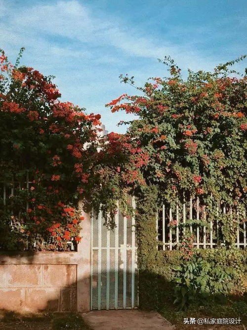 私家庭院設(shè)計(jì) 打造專屬的戶外生活空間